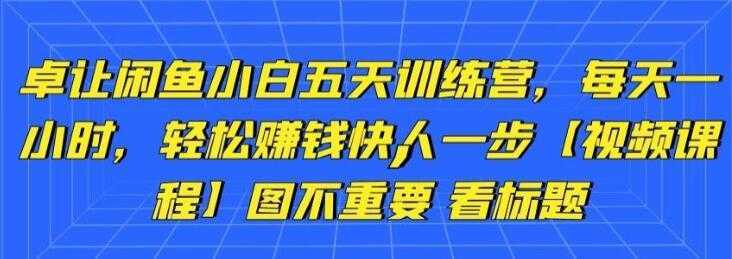 卓让《闲鱼项目小白五天训练营》每天一小时，轻松赚钱快人一步-5D资源网