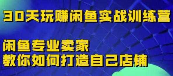 《30天玩赚闲鱼实战训练营》闲鱼专业卖家教你如何打造自己店铺-5D资源网