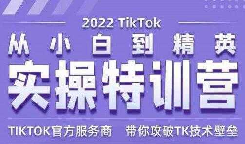 Seven漆《Tiktok从小白到精英实操特训营》带你掌握Tiktok账号运营-5D资源网