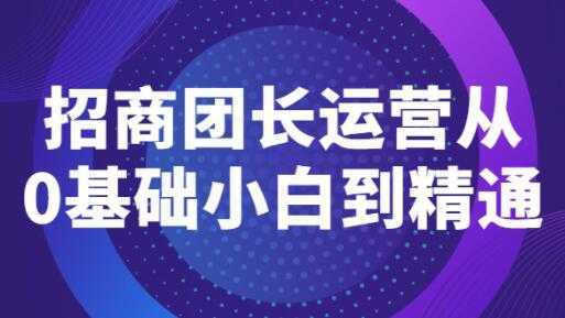 《招商团长运营》从0基础小白到精通-5D资源网