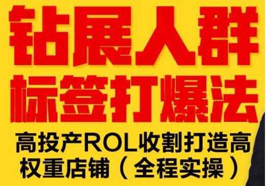 逐鹿《淘宝钻展人群标签打爆法》高投产ROL收割打造高权重店铺(全程实操)-千盛网络