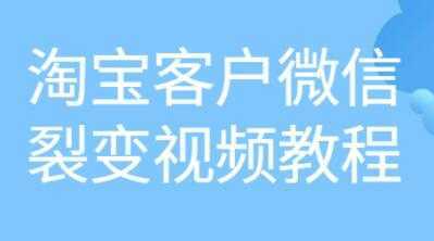 《淘宝客户微信裂变》培训课程视频教程-5D资源网