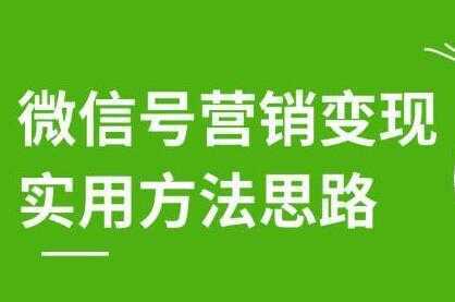 徐悦佳《微信号营销变现实用方法思路》朋友圈刷屏裂变方法-5D资源网