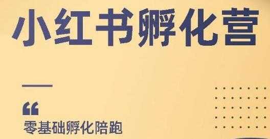 小红书撸金项目，教你如何快速起号获得曝光，做到月躺赚在3000+-千盛网络