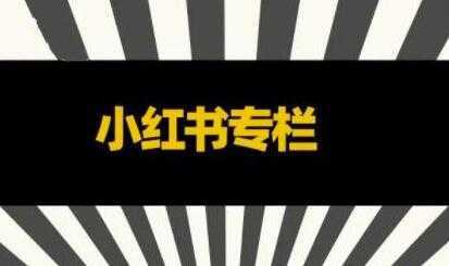 品牌医生《小红书全链营销干货》5个起盘案例，营销策略规划，避坑指南-5D资源网