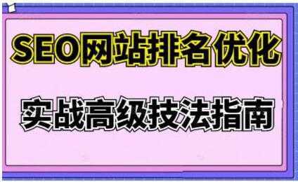 樊天华《SEO网站排名优化》实战高级技法指南-千盛网络