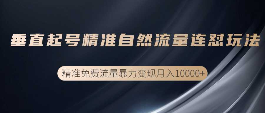 垂直起号精准自然流量连爆玩法，精准引流暴力变现月入10000+-5D资源网