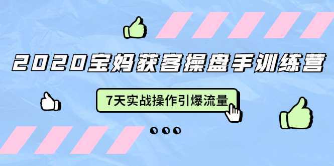 2020宝妈获客操盘手训练营：7天实战操作引爆 母婴、都市、购物宝妈流量-千盛网络