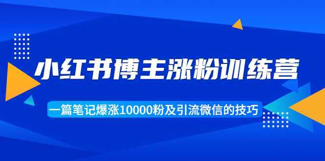 小红书博主涨粉训练营：一篇笔记爆涨10000粉及引流微信的技巧-5D资源网