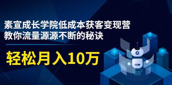 素宣成长学院低成本获客变现营，教你流量源源不断的秘诀，轻松月入10万-千盛网络