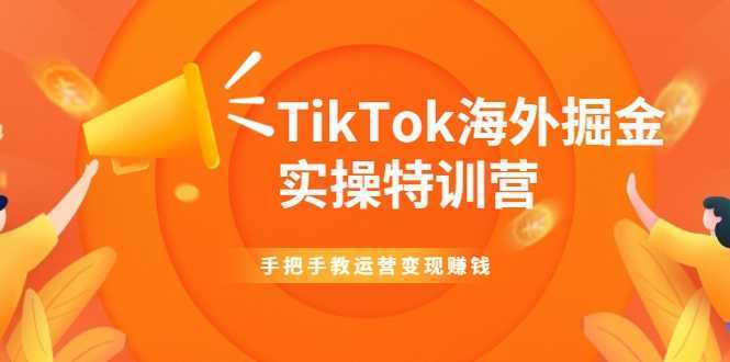 图片[1]-TikTok海外掘金实操特训营：手把手教运营变现赚钱-5D资源网