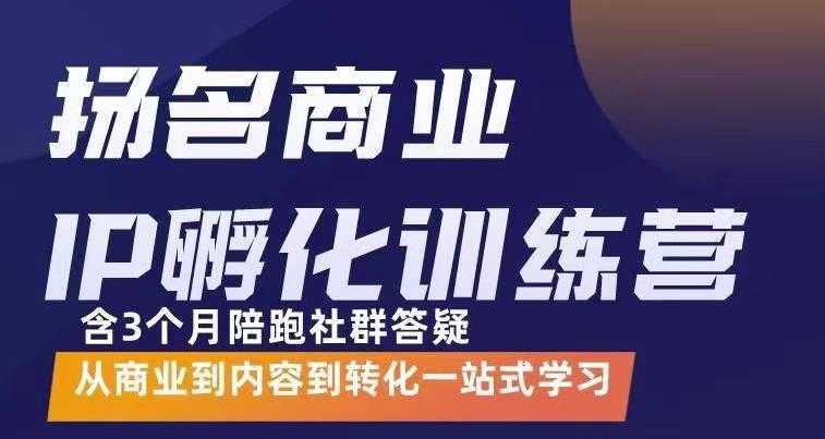 杨名商业IP孵化训练营，从商业到内容到转化一站式学 价值5980元-千盛网络