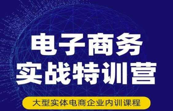 民赛电气内部出品：电子商务实战特训营，全方位带你入门电商，308种方式玩转电商-5D资源网