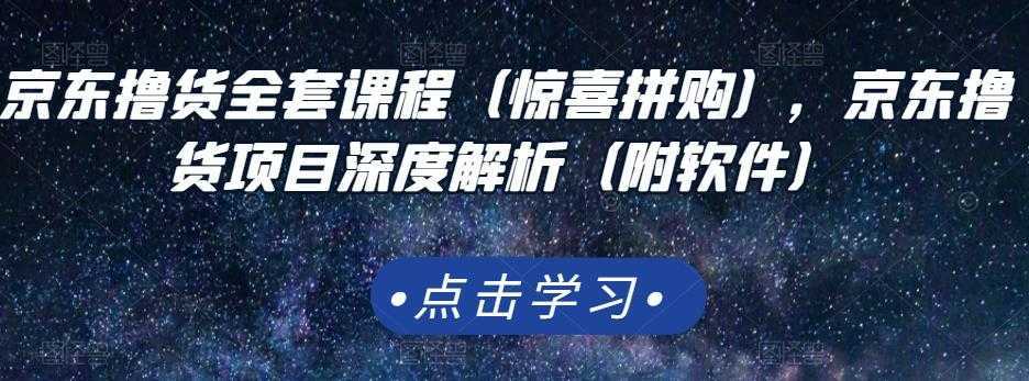 京东撸货全套课程（惊喜拼购），京东撸货项目深度解析（附软件）-5D资源网