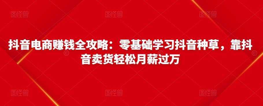 抖音电商赚钱全攻略：零基础学习抖音种草，靠抖音卖货轻松月薪过万-千盛网络