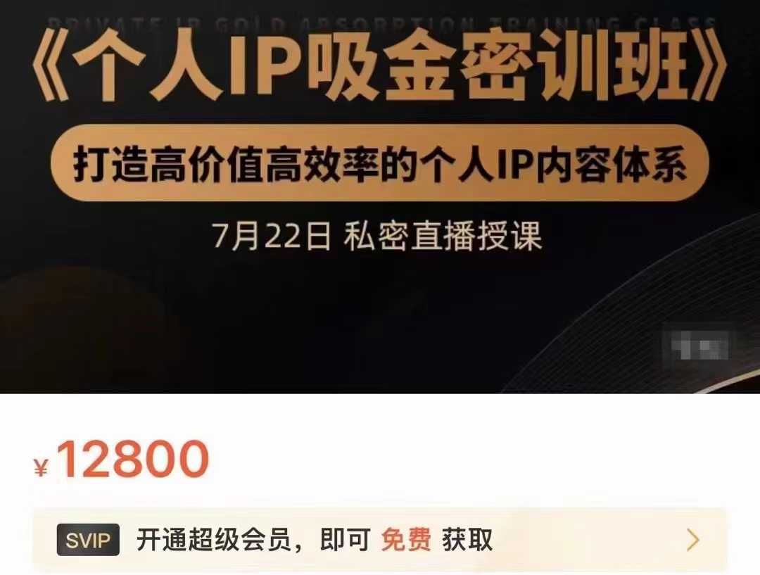 个人IP吸金密训班，打造高价值高效率的个人IP内容体系（价值12800元）-5D资源网