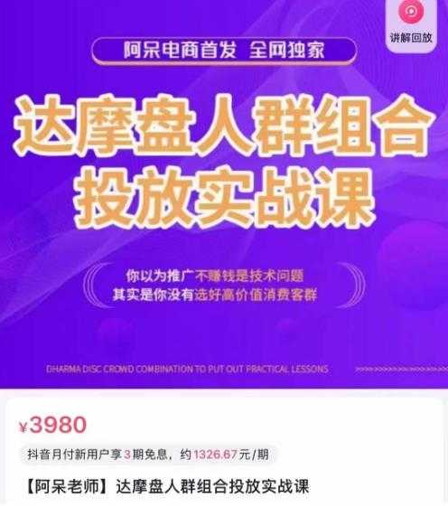 阿呆电商·达摩盘人群组合投放实战课，你以为推广不赚钱是技术问题，其实是你没有选好高价值消费客群-千盛网络