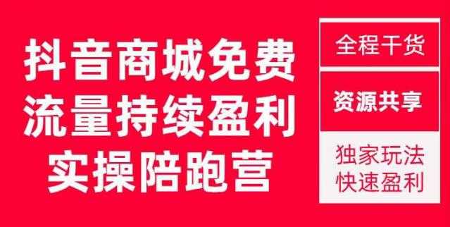 抖音商城搜索持续盈利陪跑成长营，抖音商城搜索从0-1、从1到10的全面解决方案-千盛网络