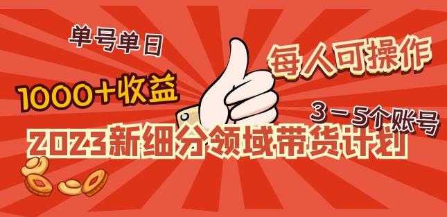 2023新细分领域带货计划：单号单日1000+收益不难，每人可操作3-5个账号-千盛网络