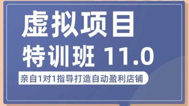 陆明明·虚拟项目特训班（10.0+11.0），0成本获取虚拟素材，0基础打造自动盈利店铺-5D资源网