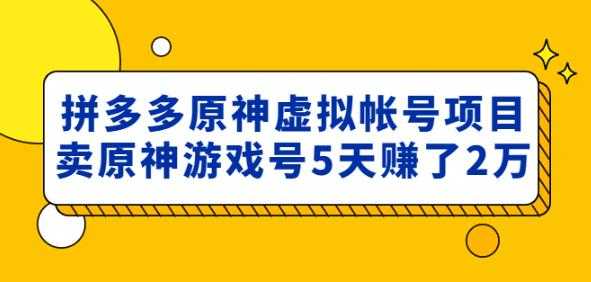 外面卖2980的拼多多原神虚拟帐号项目：卖原神游戏号5天赚了2万-5D资源网