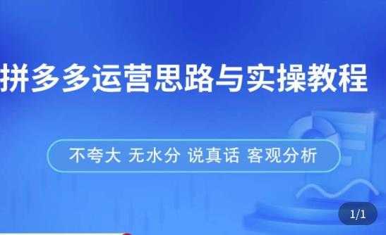 拼多多店铺运营思路与实操教程，快速学会拼多多开店和运营，少踩坑，多盈利-千盛网络