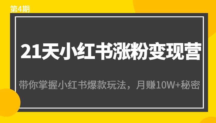 21天小红书涨粉变现营（第4期）：带你掌握小红书爆款玩法，月赚10W+秘密-5D资源网