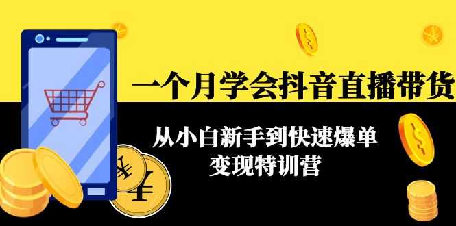 一个月学会抖音直播带货：从小白新手到快速爆单变现特训营(63节课)-千盛网络