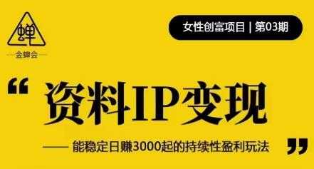 资料IP变现，能稳定日赚3000起的持续性盈利玩法-千盛网络