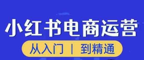 顽石小红书电商高阶运营课程，从入门到精通，玩法流程持续更新-千盛网络