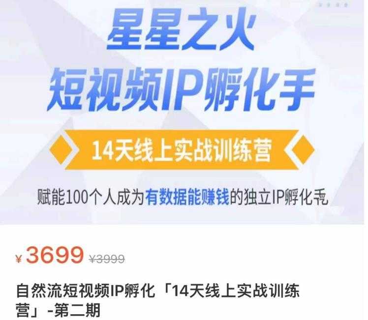 瑶瑶·自然流短视频IP孵化第二期，14天线上实战训练营，赋能100个人成为有数据能赚钱的独立IP孵化手-千盛网络