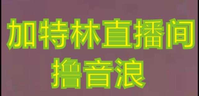 图片[1]-抖音加特林直播间搭建技术，抖音0粉开播，暴力撸音浪，2023新口子，每天800+【素材+详细教程】-5D资源网