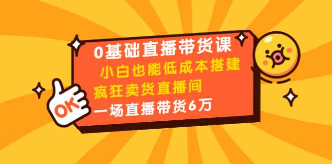 0基础直播带货课：小白也能低成本搭建疯狂卖货直播间：1场直播带货6万-千盛网络