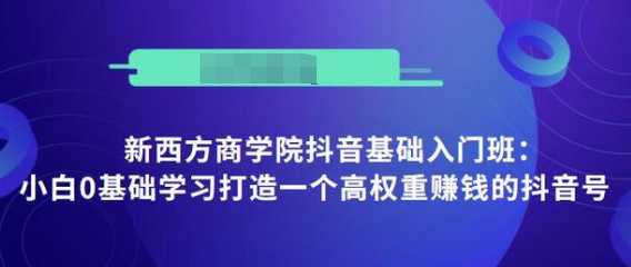 抖音基础入门班：小白0基础学习打造一个高权重赚钱的抖音号-5D资源网