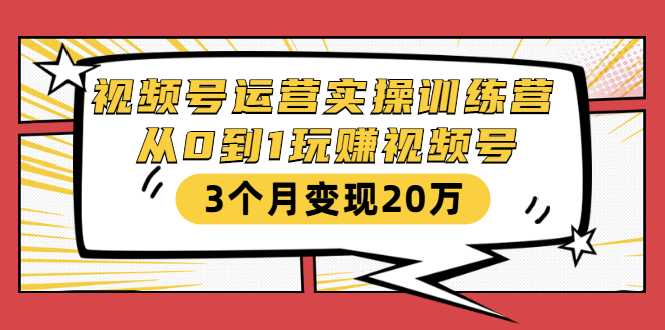 图片[1]-视频号运营实操训练营：从0到1玩赚视频号，3个月变现20万-5D资源网