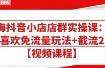 大海抖音小店店群实操课：猜你喜欢免流量玩法+截流 2.0-千盛网络