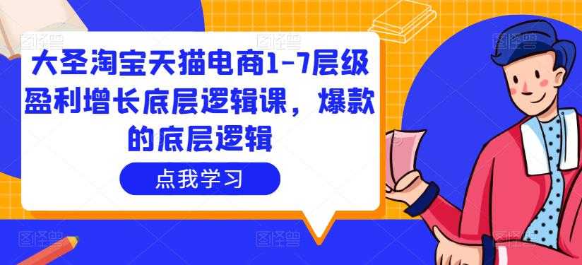 大圣淘宝天猫电商1-7层级盈利增长底层逻辑课，爆款的底层逻辑-5D资源网