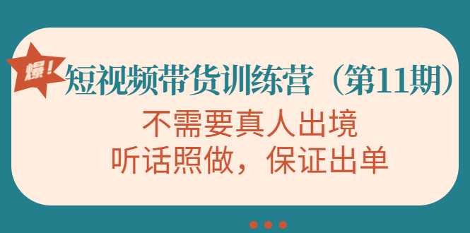 视频带货训练营，不需要真人出境，听话照做，保证出单（第11期）-千盛网络